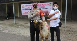 Polresta Bandara Soekarno-Hatta membagikan daging kurban